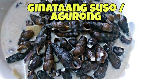 GINATAANG SUSO .